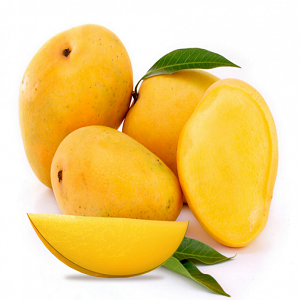 Alphonso mango