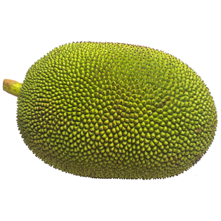 Jackfruit