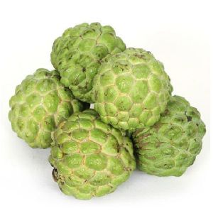 Custard apple