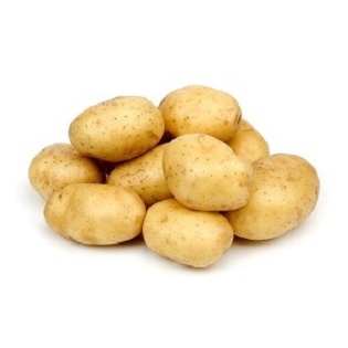 Potato